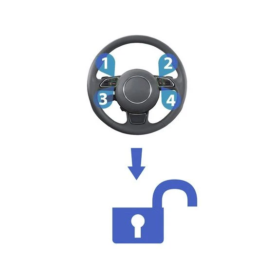 Ampire WFS400-LIN - CAN-Bus Wegfahrsperre Mit Code-Entschärfung 4 Ampire WFS400-LIN - CAN-Bus Wegfahrsperre Mit Code-Entschärfung – Bild 2